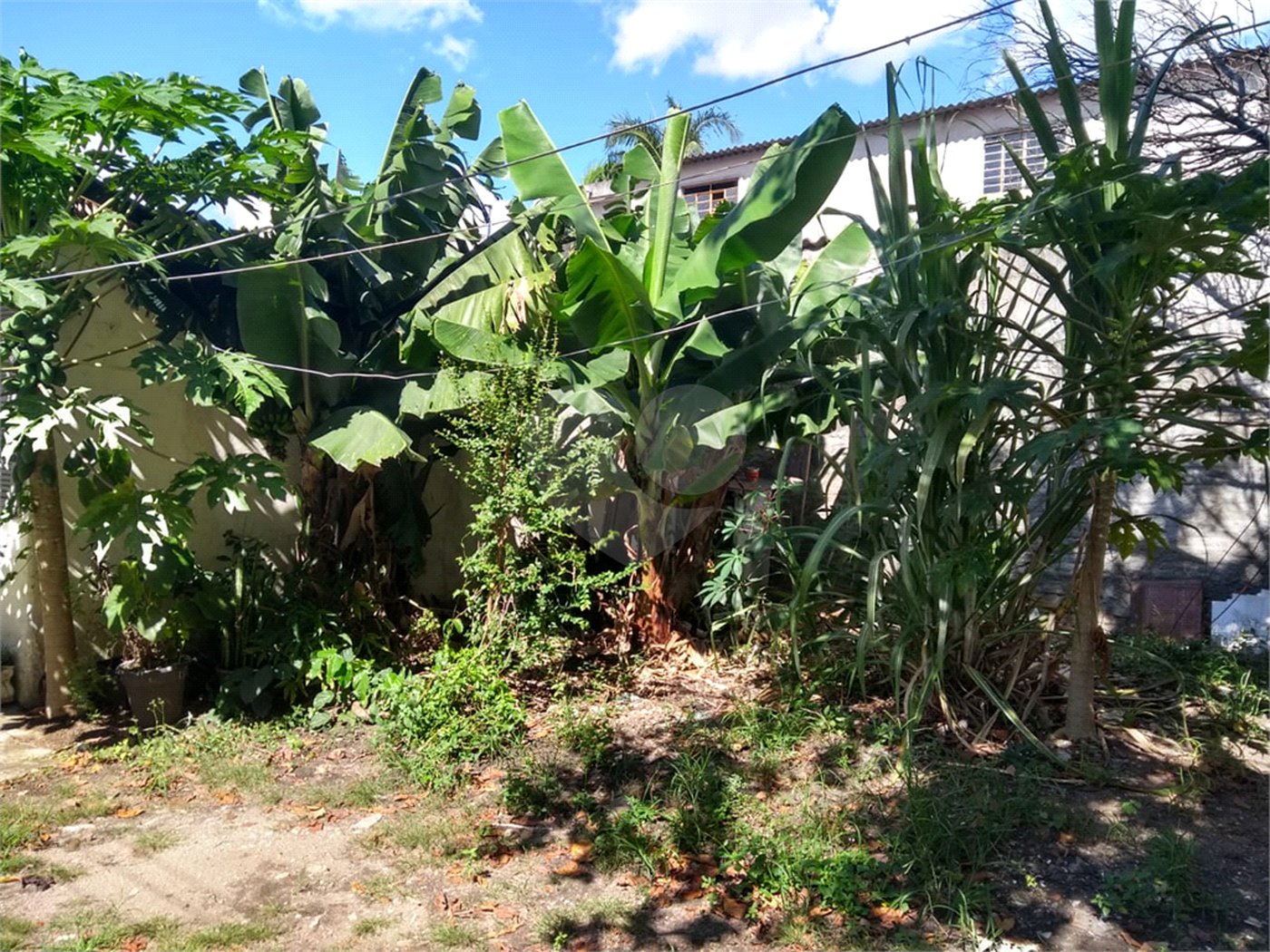 Terreno à venda em Vila Constança, São Paulo, SP