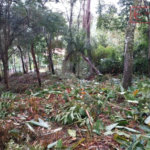 Terreno à venda em Serra da Cantareira, Mairiporã, SP