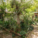Casa à venda ou para alugar com 4 quartos em Jardim Marajoara, São Paulo, SP
