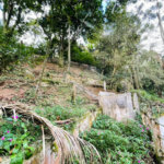 Terreno à venda em Tucuruvi, São Paulo, SP