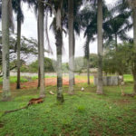 Casa à venda com 6 quartos, sendo 5 suítes,  em Santa Claudina, Vinhedo, SP