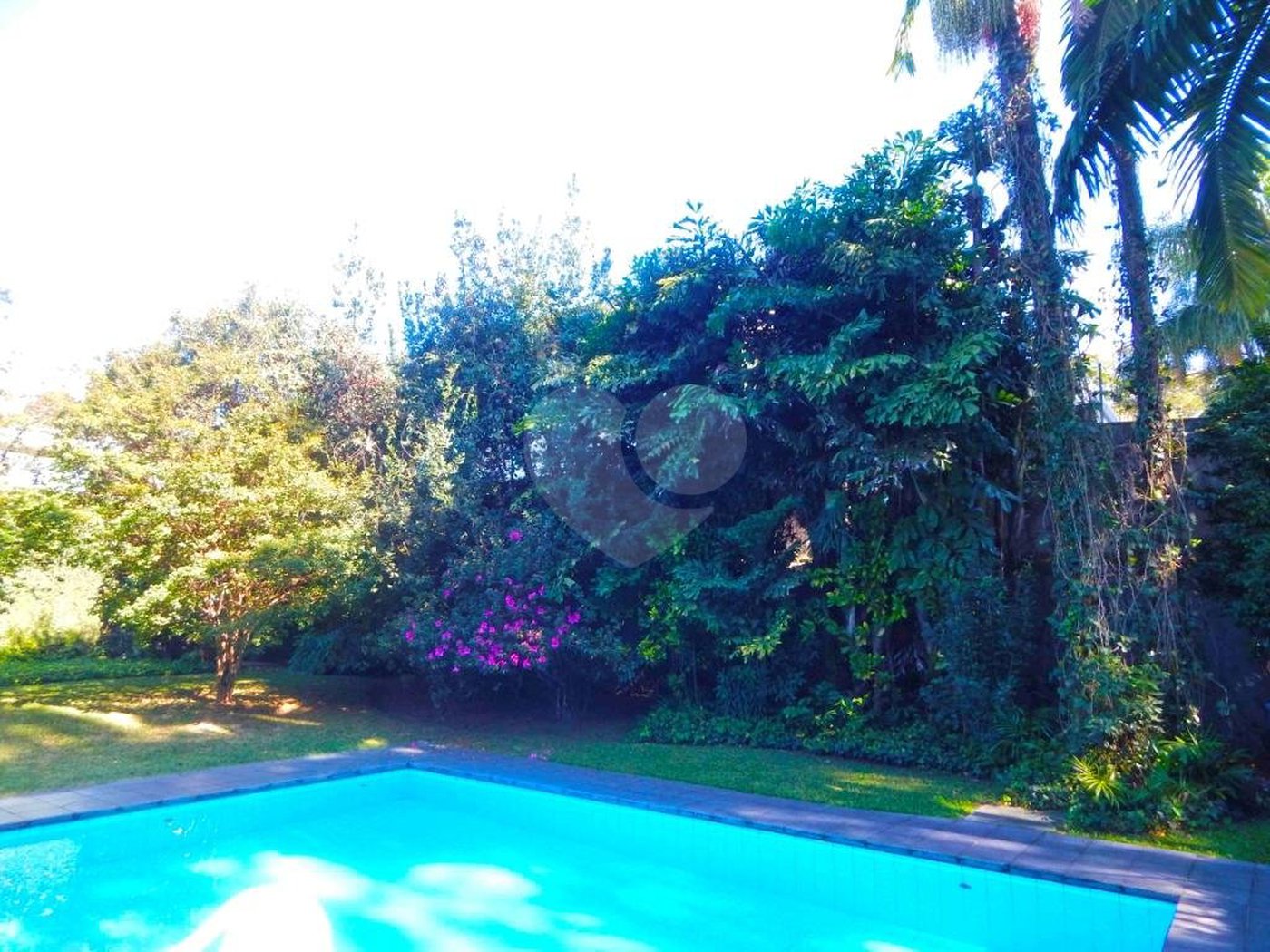 Casa Térrea à venda com 3 quartos, sendo 1 suíte,  em Chácara Monte Alegre, São Paulo, SP