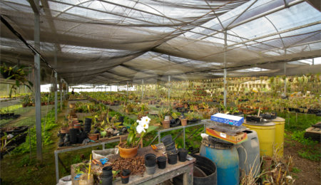 Terreno à venda com 1 quarto em Jardim Camargo (canguera), São Roque, SP