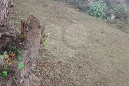 Terreno à venda em Jardim Meny, São Roque, SP