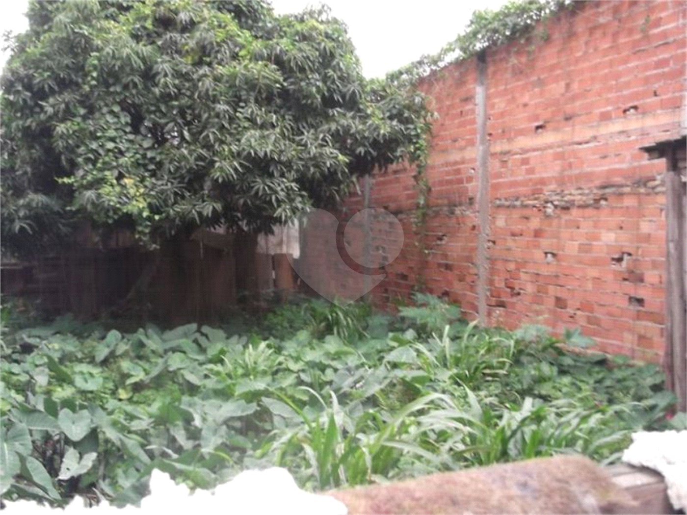 TERRENO A VENDA EM SP SACOMÃ