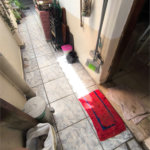Sobrado à venda com 2 quartos em Tucuruvi, São Paulo, SP