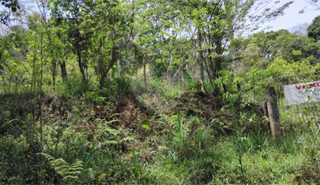 Chácara à venda com 2 quartos em Vila Caputera, Mogi das Cruzes, SP