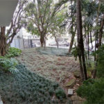Apartamento à venda com 3 quartos, sendo 1 suíte, em Jardim Paulista, São Paulo, SP