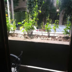 Casa à venda com 3 suítes em Jardim Olympia, São Paulo, SP