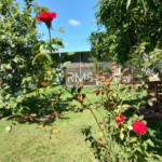 Casa à venda com 4 suítes no condomínio Parque Chapada DE Itu, Itu - SP