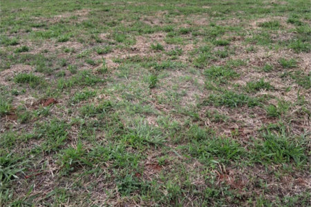 Terreno à venda em Mato Dentro, Mairinque, SP