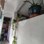 Apartamento à venda com 3 quartos em Parque Mandaqui, São Paulo, SP