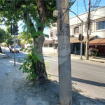 Apartamento à venda ou para alugar com 2 quartos, sendo 1 suíte, em Campo Grande, Rio de Janeiro, RJ