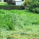 Terreno à venda em Marambaia, Vinhedo, SP