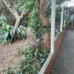 Terreno à venda com 1 quarto, sendo 2 suítes, em Vila Guilherme, São Paulo, SP