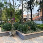 Apartamento para alugar com 3 quartos, sendo 1 suíte, em Jardim Bonfiglioli, São Paulo, SP