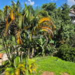 Casa à venda com 3 suítes no condomínio Portal Dos Nobres, Atibaia - SP