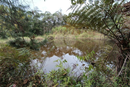 Terreno à venda em Vila Junqueira, São Roque, SP