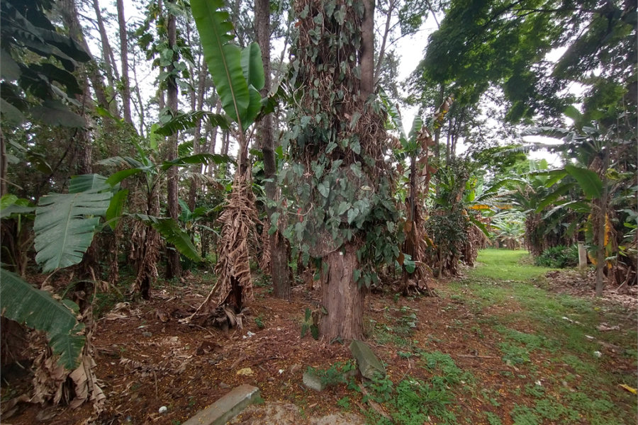 Terreno à venda em Jardim Bela Vista, Guarulhos, SP