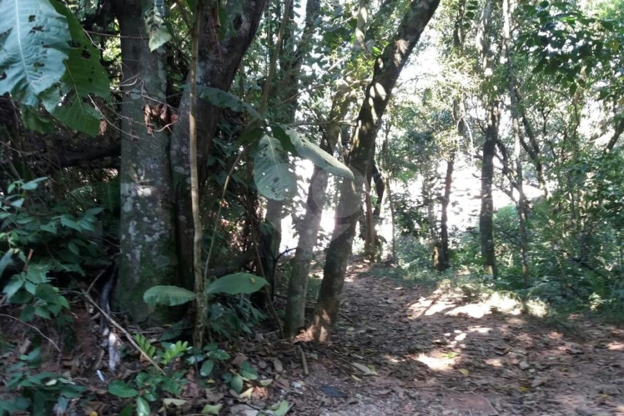 Terreno à venda em Tremembé, São Paulo, SP