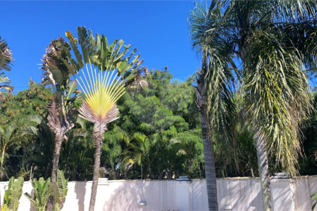 Casa à venda com 5 suítes em Marina, Armação dos Búzios, RJ
