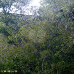 Terreno à venda em Vila Mazzei, São Paulo, SP
