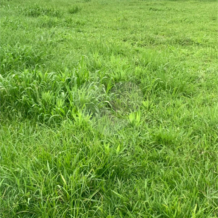 Terreno à venda no condomínio Residencial Veneza, Mogi das Cruzes - SP