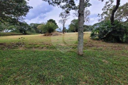 Loteamento Residencial no Condomínio Vila Pinhal do Broa.