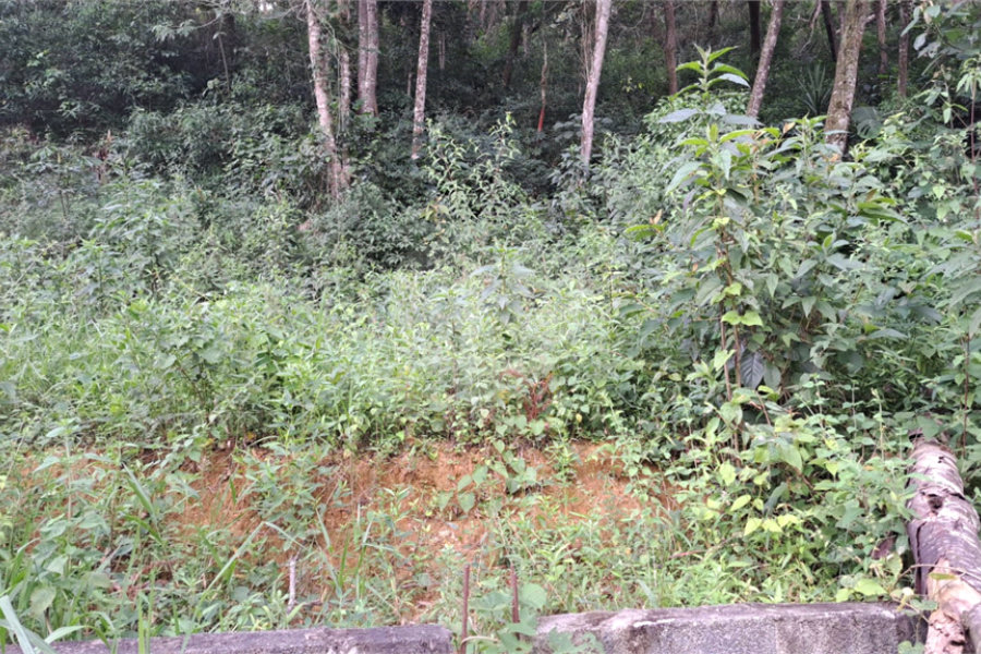 Terreno à venda em Terra Preta (terra Preta), Mairiporã, SP