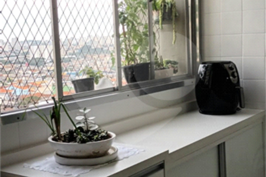 Apartamento à venda com 3 quartos em Limão, São Paulo, SP