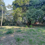 Terreno à venda com 1 quarto no condomínio Chácara Flora, São Paulo - SP