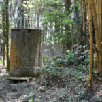 Chácara à venda com 3 quartos em Caraguatá, Mairiporã, SP