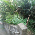 Terreno à venda em Vila Mazzei, São Paulo, SP