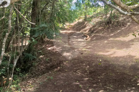 Sítio à venda no Centro, Monte Sião, MG