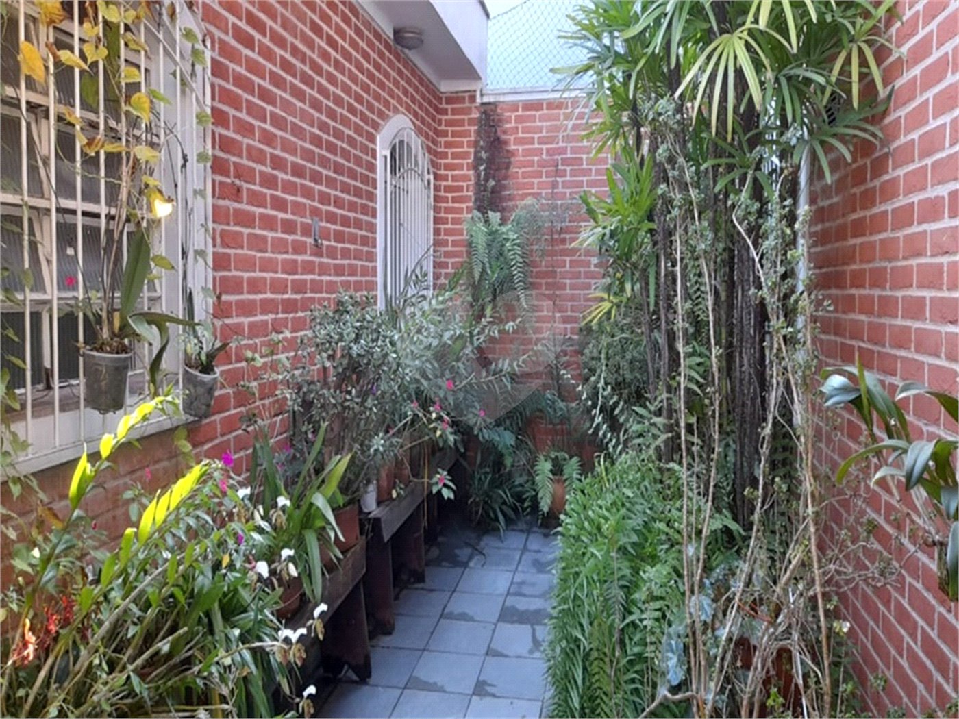 Casa à venda com 4 quartos, sendo 1 suíte,  em Limão, São Paulo, SP