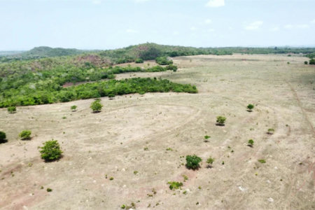 Fazenda à venda em Zona Rural, Balsas, MA