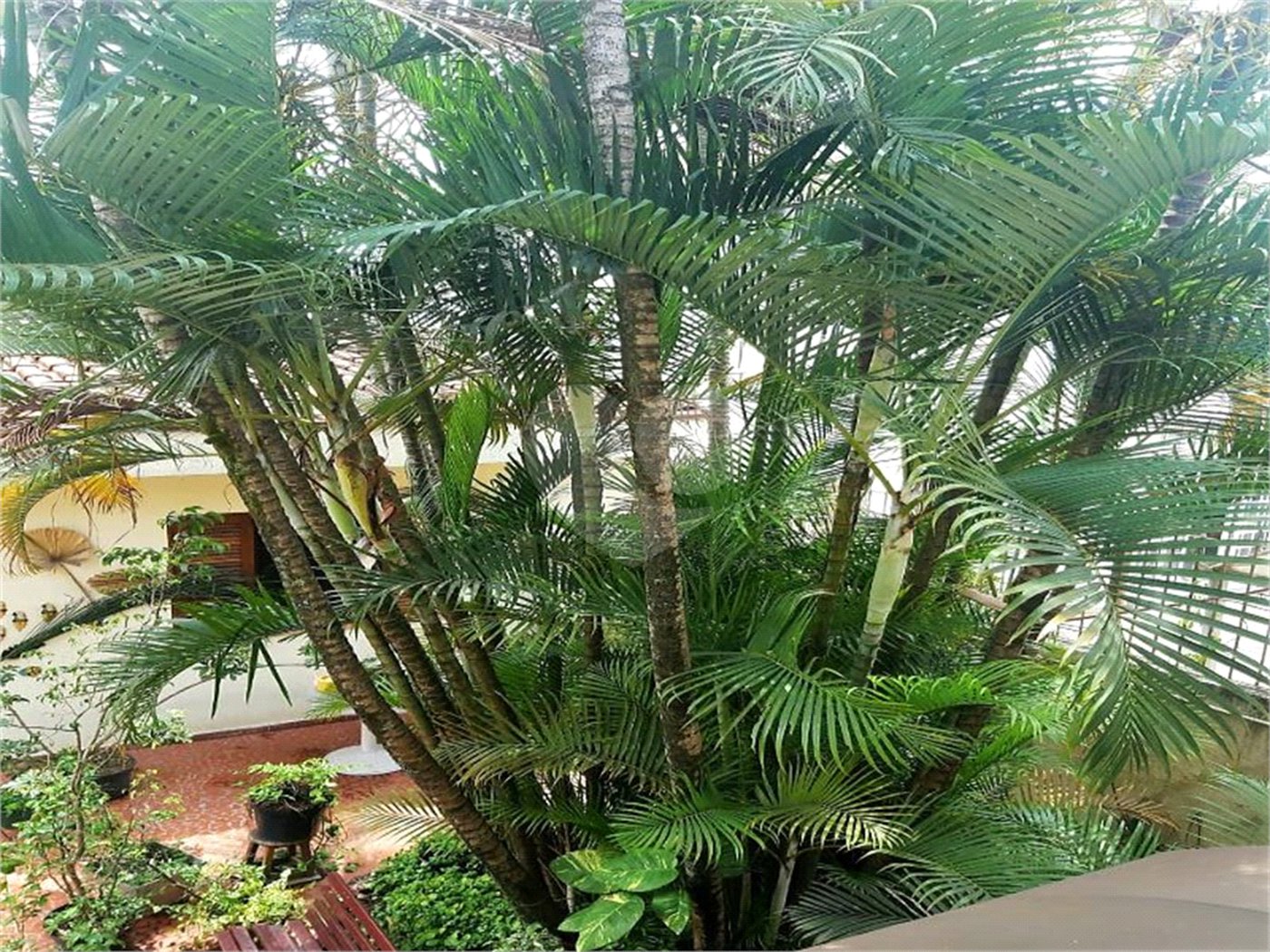Casa à venda com 3 quartos em Vila Inah, São Paulo, SP