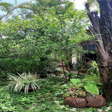 Casa à venda com 3 quartos em Vila Inah, São Paulo, SP