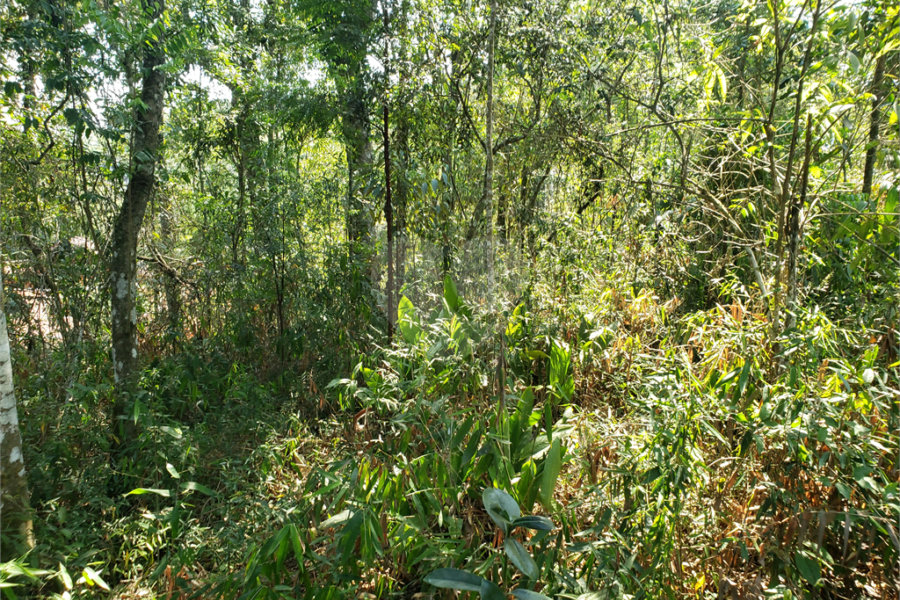 Terreno à venda no condomínio Residencial Cerros Verdes, Mairiporã - SP