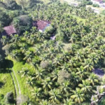Área de Terra à venda com 1 suíte em Campo Grande, Rio de Janeiro, RJ