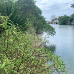 Terreno à venda em Marina, Armação dos Búzios, RJ