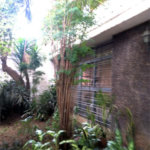 Sobrado à venda com 4 quartos, sendo 1 suíte,  em Vila Cordeiro, São Paulo, SP