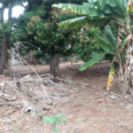 Terreno à venda em Vila Judite, Itapetininga, SP