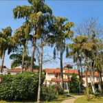 Casa à venda com 3 quartos, sendo 2 suítes, no condomínio Vila Borghese, São Paulo - SP