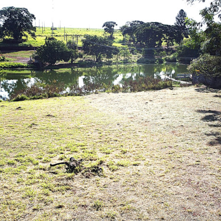 Terreno à venda no condomínio Garden Villa Rp, Ribeirão Preto - SP