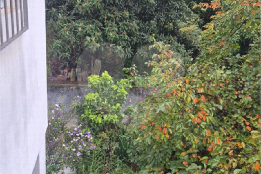 Terreno à venda ou para alugar em Horto, São Paulo, SP