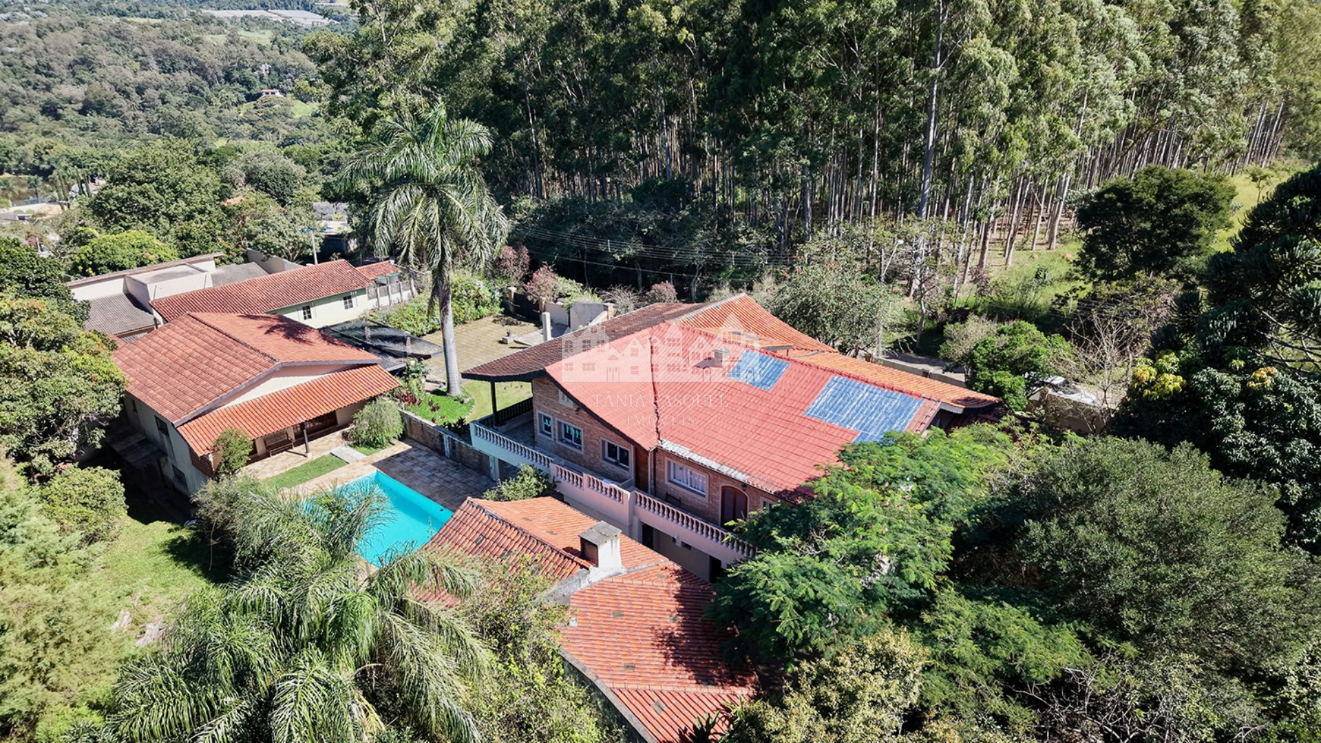 Sítio, 5 quartos, 2400 m² - Foto 4