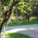 Chácara à venda com 7 quartos, sendo 3 suítes, em Parque Caetê, Bragança Paulista, SP
