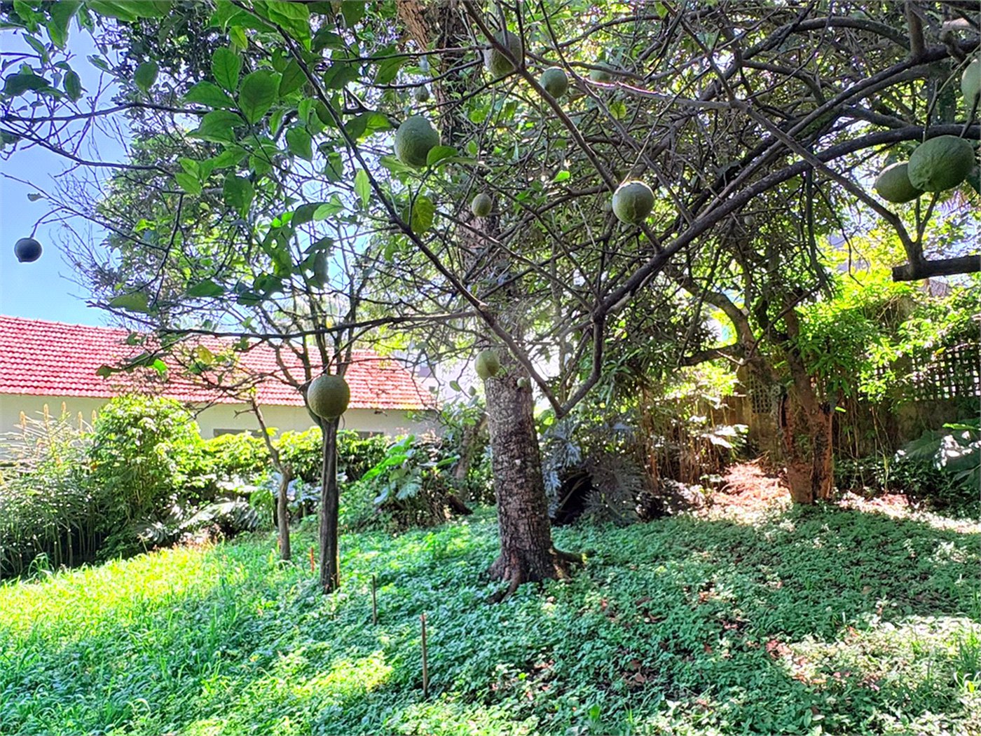Casa Térrea à venda com 3 quartos, sendo 1 suíte, em Jardim Floresta, São Paulo, SP