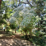 Chácara à venda com 4 quartos, sendo 1 suíte,  em Vila Dom Pedro, Atibaia, SP